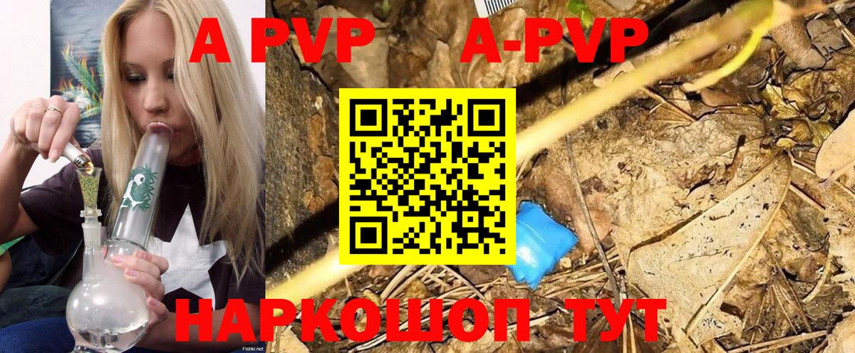 A PVP СК КРИС Людиново