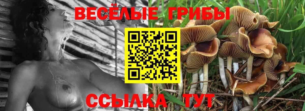 Псилоцибиновые грибы Magic Shrooms Людиново