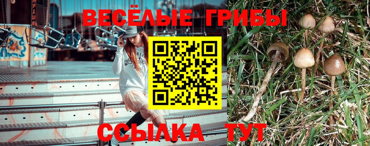 Псилоцибиновые грибы Magic Shrooms  Вход с VPN  Людиново  Галлюциногенные грибы Psilocybe 